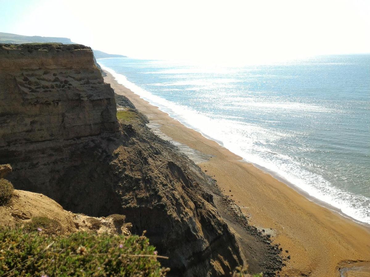 The Vitamin Sea Ventnor Bagian luar foto